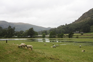 Overflown meadows in Patterdale