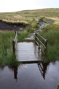 Trail to Nine Standards
