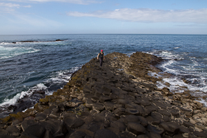 Giant's Causeway