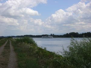 Rhein irgendwo zwischen Drusenheim und Neuhaeusel