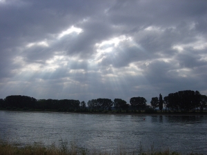 Morgenstimmung über dem Rhein