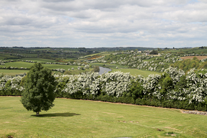 Boine Valley