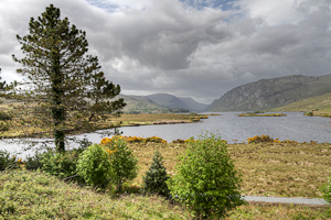 Glenveagh Nationalpark |  Glenveagh National Park