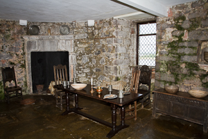 Dunguaire Castle