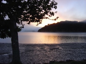 Sicht aus dem Zelt beim Aufstehen | First view after waking up