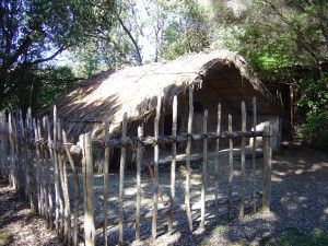Maori Wohnhäuser in Rewa's Village | Maori houses in Rewa's Village